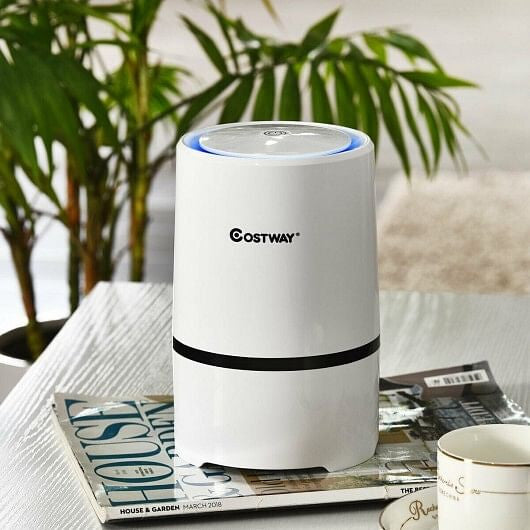 Mini Ionic  3-in-1 Composite HEPA Air Purifier-2