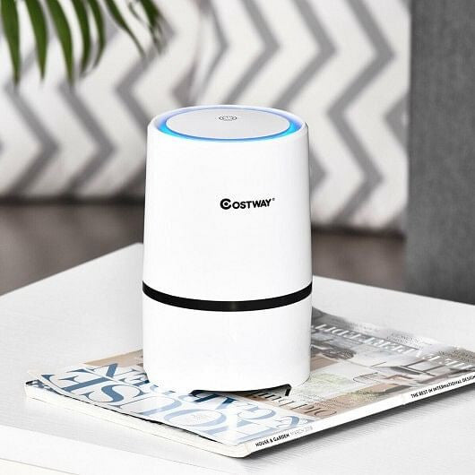 Mini Ionic  3-in-1 Composite HEPA Air Purifier-4